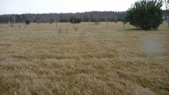 Sprzedam działkę budowlaną,- 1693 mkw pod działalność gospodarczą
