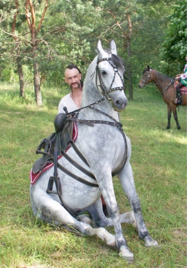 Ukraina.Konie,zwierzeta hodowlane,ogiery,klacze,siwe rysaki 900zl