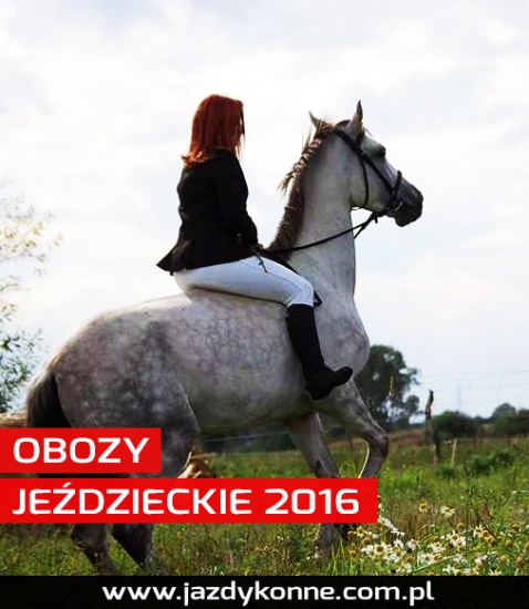 Obóz jeździecki | Modrzewie | Jazda konna | Wolne terminy