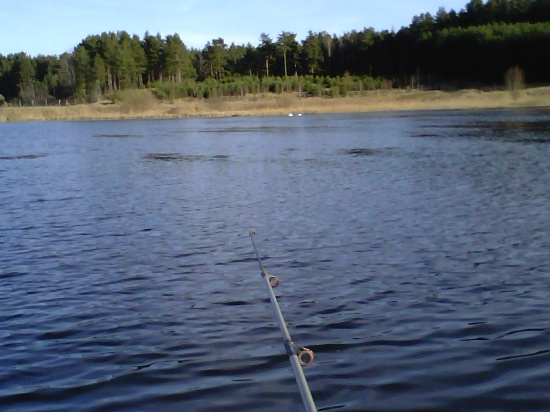 STAWY RYBNE - 10ha.- 100.000.m2. za; 850.000.PLN.