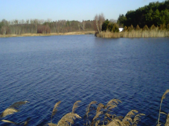 AGROTURYSTYKĘ - 5ha.- 50.000.m2. w Wałczu jeż.Raduń.Sprzedam.